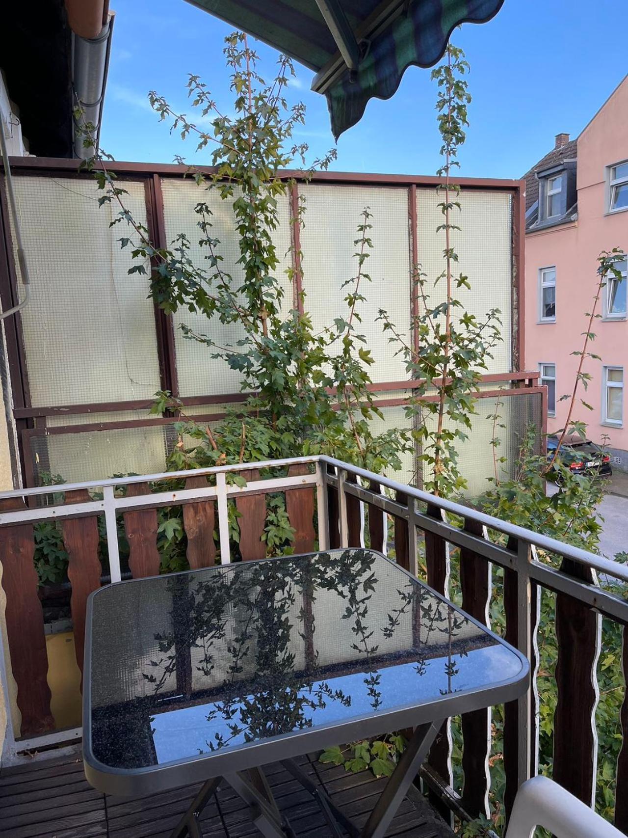 Duesseldorf Messe And Airport, 2-Bedroom Apartment With Kitchen And Garden Duisburg Exteriér fotografie
